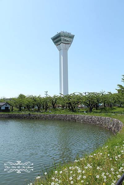 IMG_6231.jpg