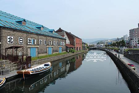 IMG_6528.jpg IMG_6528.jpg