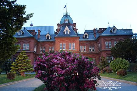 IMG_6565.jpg