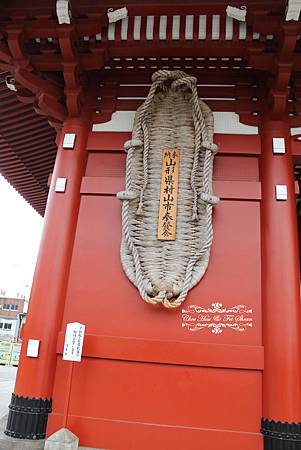 IMG_6899.jpg