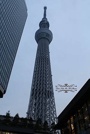 IMG_6964.jpg IMG_6964.jpg