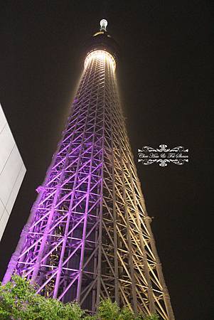 IMG_6979.jpg IMG_6979.jpg