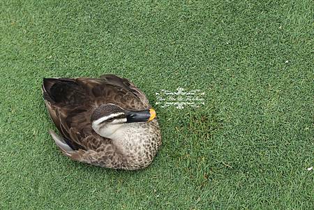 IMG_7009.jpg IMG_7009.jpg