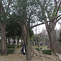 巴克禮公園 014