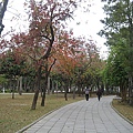 巴克禮公園 006