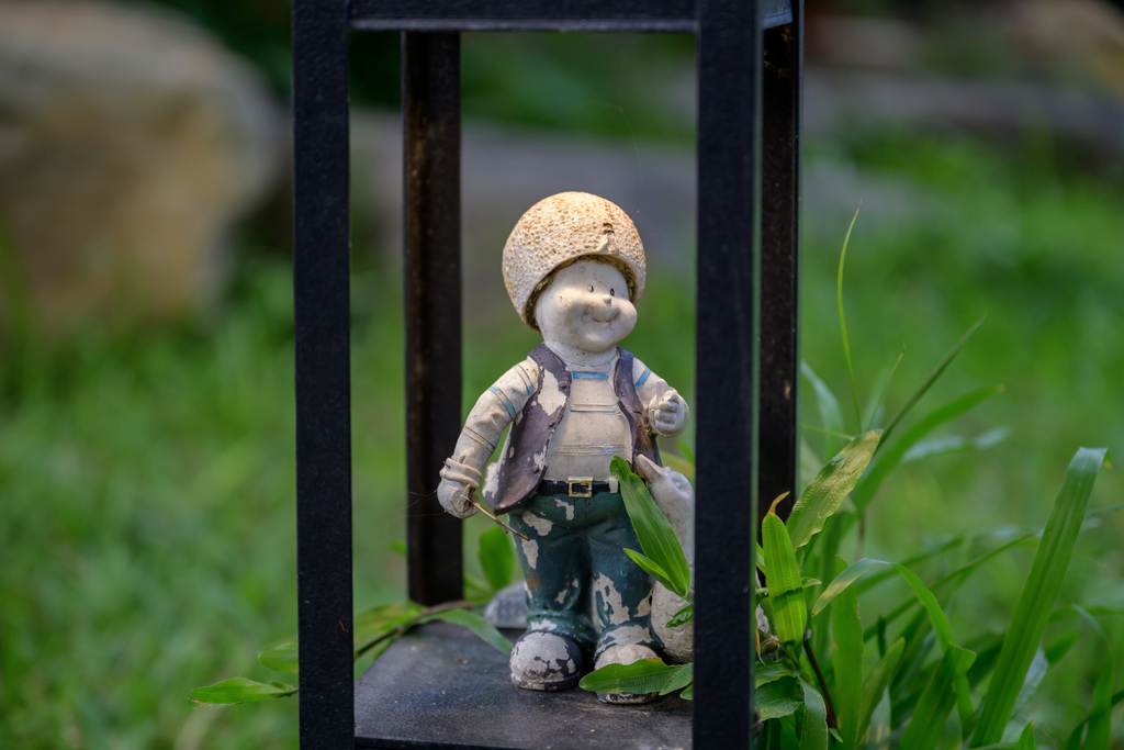 南投森林系包棟「覓境莊園」落羽松秘境!園內有高大聳立的落羽松 南投森林系包棟「覓境莊園」落羽松秘境!園內有高大聳立的落羽松