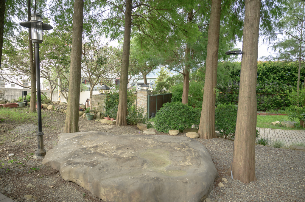 南投森林系包棟「覓境莊園」落羽松秘境!園內有高大聳立的落羽松 南投森林系包棟「覓境莊園」落羽松秘境!園內有高大聳立的落羽松