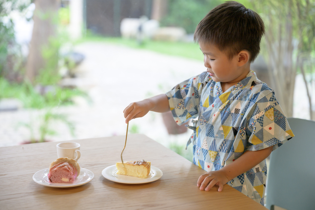 南投森林系包棟「覓境莊園」落羽松秘境!園內有高大聳立的落羽松 南投森林系包棟「覓境莊園」落羽松秘境!園內有高大聳立的落羽松