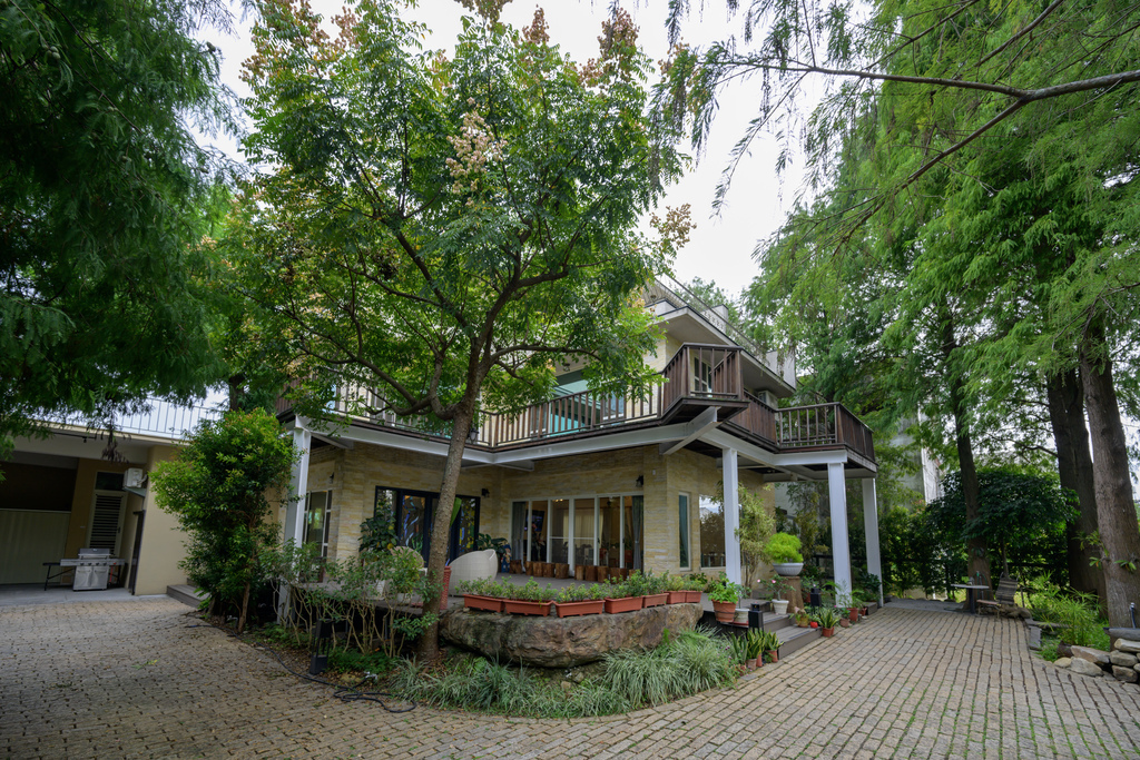 南投森林系包棟「覓境莊園」落羽松秘境!園內有高大聳立的落羽松 南投森林系包棟「覓境莊園」落羽松秘境!園內有高大聳立的落羽松