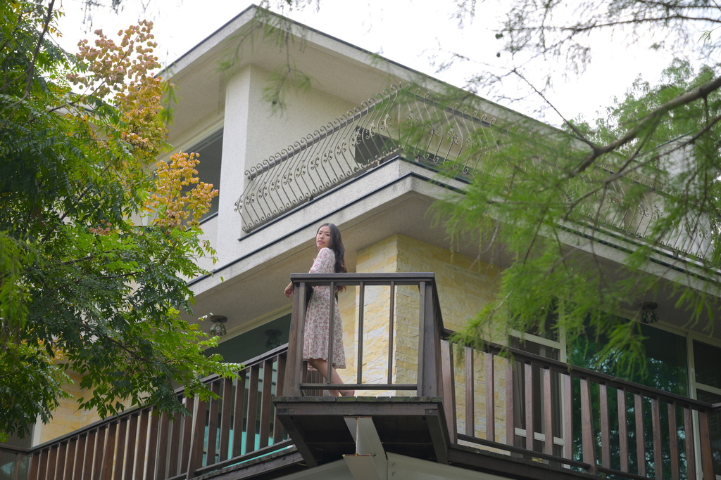 南投森林系包棟「覓境莊園」落羽松秘境!園內有高大聳立的落羽松 南投森林系包棟「覓境莊園」落羽松秘境!園內有高大聳立的落羽松