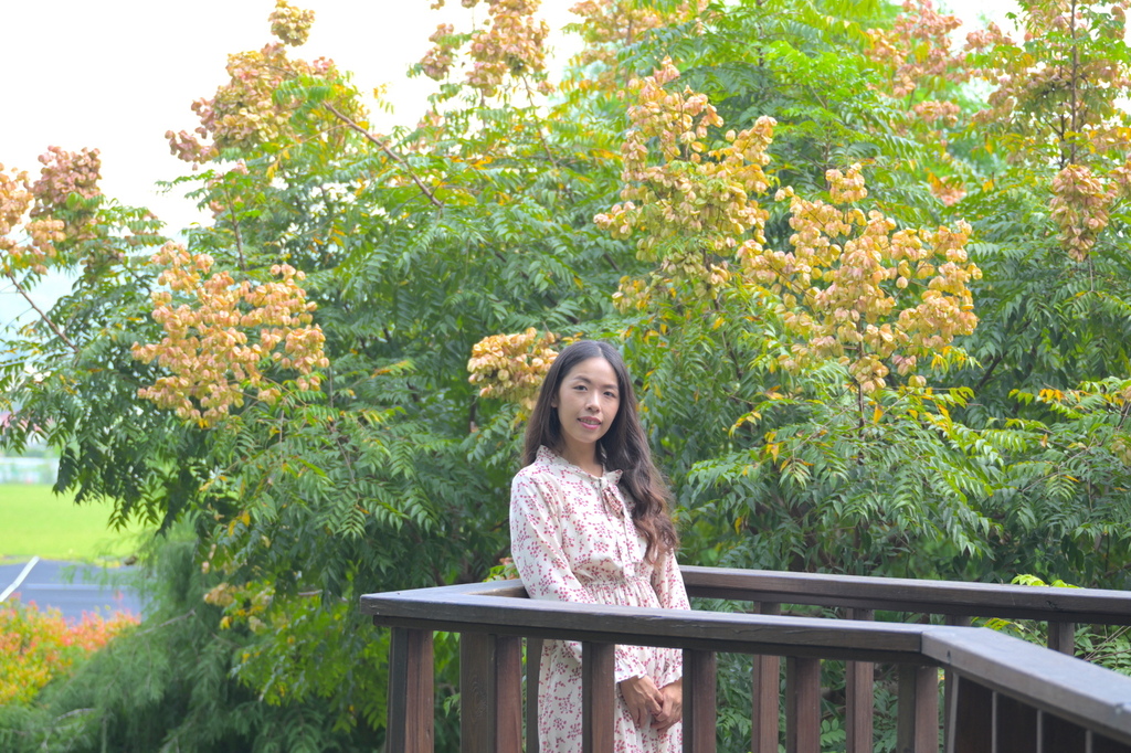 南投森林系包棟「覓境莊園」落羽松秘境!園內有高大聳立的落羽松 南投森林系包棟「覓境莊園」落羽松秘境!園內有高大聳立的落羽松