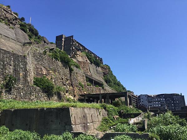 IMG_1235.JPG IMG_1235.JPG