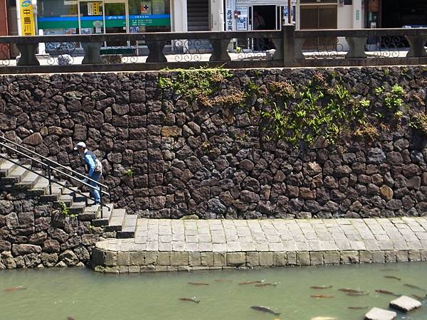 R0081744.JPG R0081744.JPG