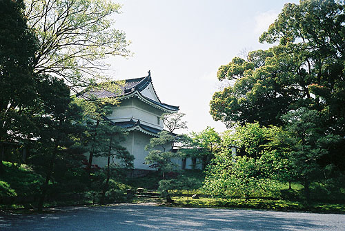 二条城中的庭景