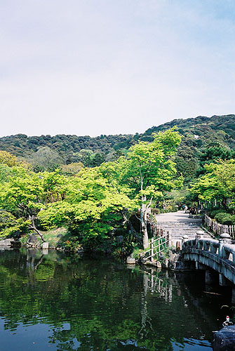 圓山公園裡的庭園