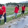 15.王令麟(左一)與孩子們一起下田種植甜椒.jpg