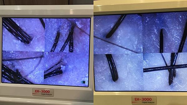 7CB41707-1BFF-4FE4-B1B8-C263F98E1DAF 7CB41707-1BFF-4FE4-B1B8-C263F98E1DAF