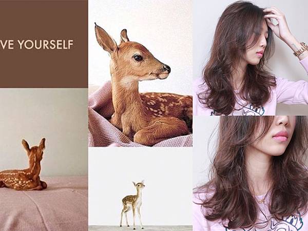 6B05C3C4-DC92-46AB-BC0D-94BE1E08C71C 6B05C3C4-DC92-46AB-BC0D-94BE1E08C71C