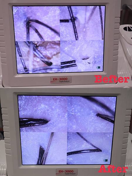 DDFAD652-DC32-4C9C-BE7D-65E2E7D66769.jpeg DDFAD652-DC32-4C9C-BE7D-65E2E7D66769.jpeg