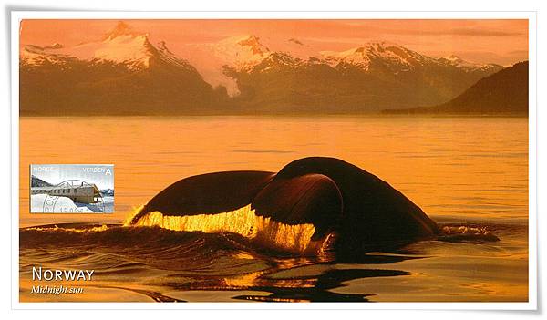 挪威 Humpback whale1.jpg