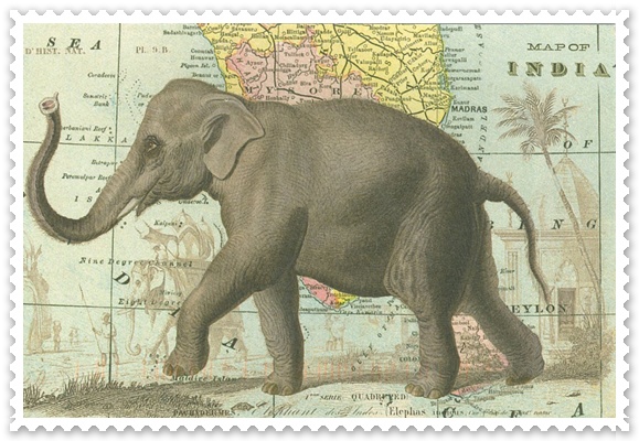 elephant.jpg