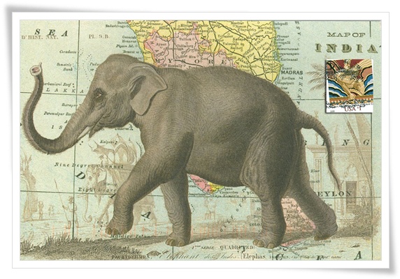 elephant1.jpg