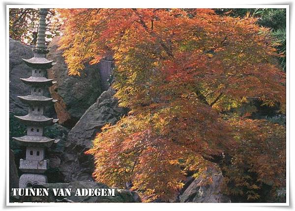 Japanse Tuin.jpg Japanse Tuin.jpg