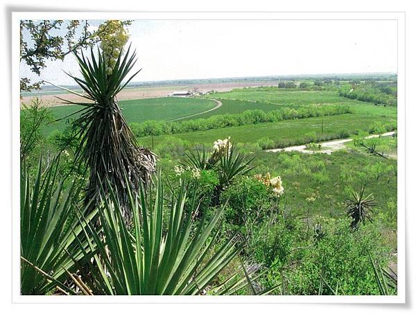 texas farmland texas farmland