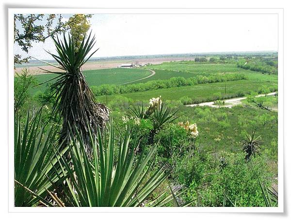 texas farmland