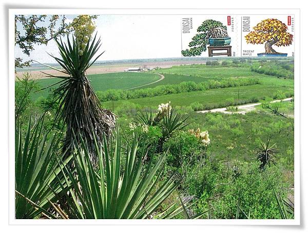 texas farmland1