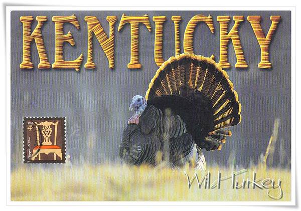 kentucky1