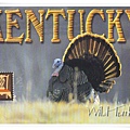 kentucky1