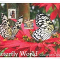 butterfly world1