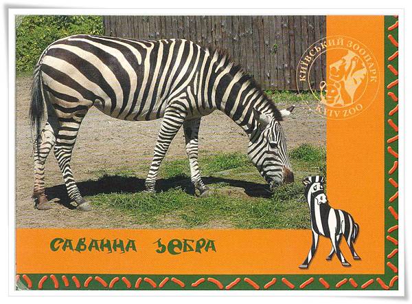 kyiv zoo