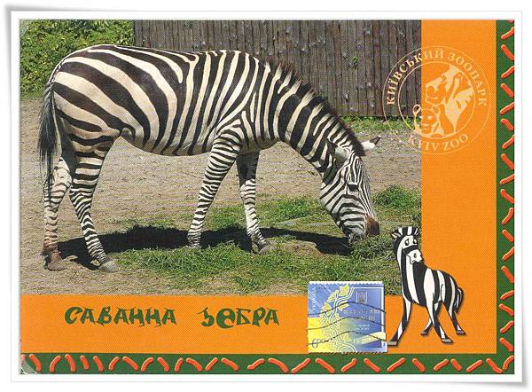 kyiv zoo1