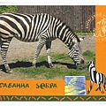 kyiv zoo1