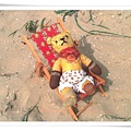 beach teddy