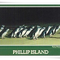 philipisland1-4