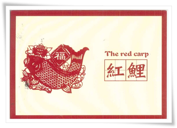 紅鯉 紅鯉