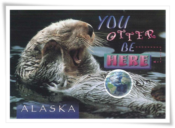 alaska's sea otter1