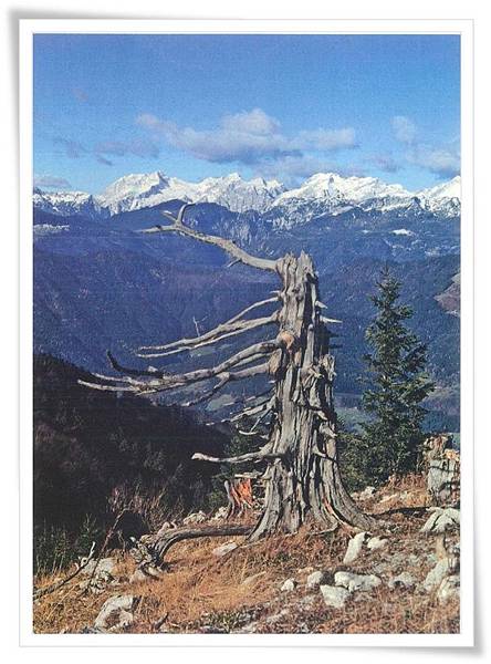 SL-alps SL-alps