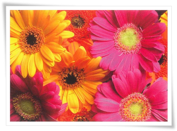 BE flower BE flower