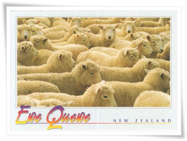 ewe quewe ewe quewe