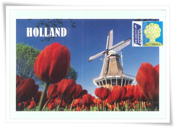 holland tulip1