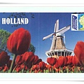 holland tulip1