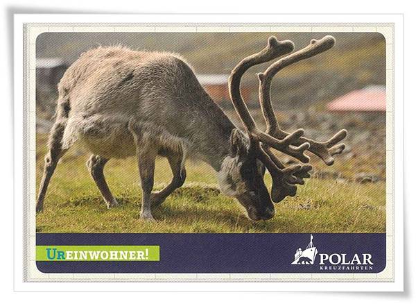 polar kreuzfahrten polar kreuzfahrten