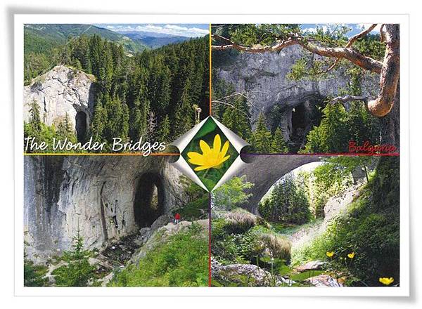 the wonder bridges the wonder bridges