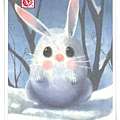 cn rabbit1