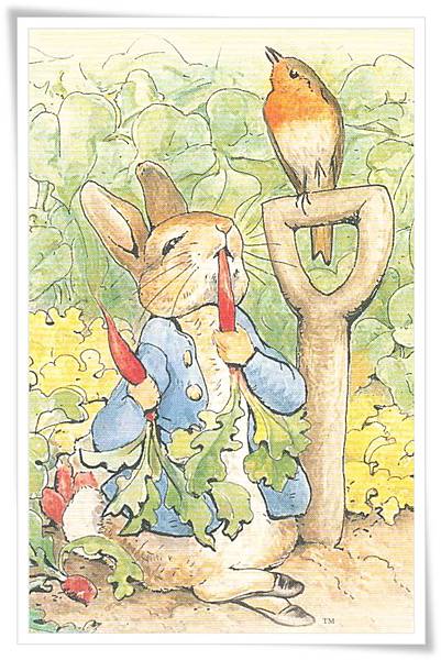 peter rabbit_4