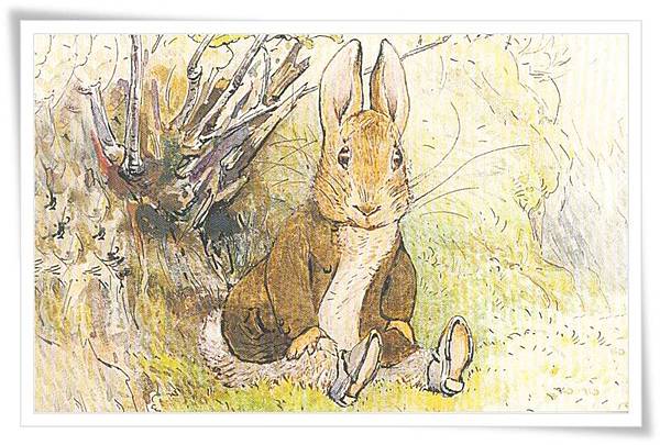 peter rabbit_16